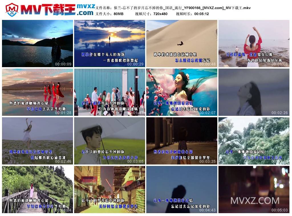 依兰-忘不了的岁月忘不掉的你_国语_流行_YF900166